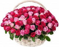 Букет «Созвездие девы»