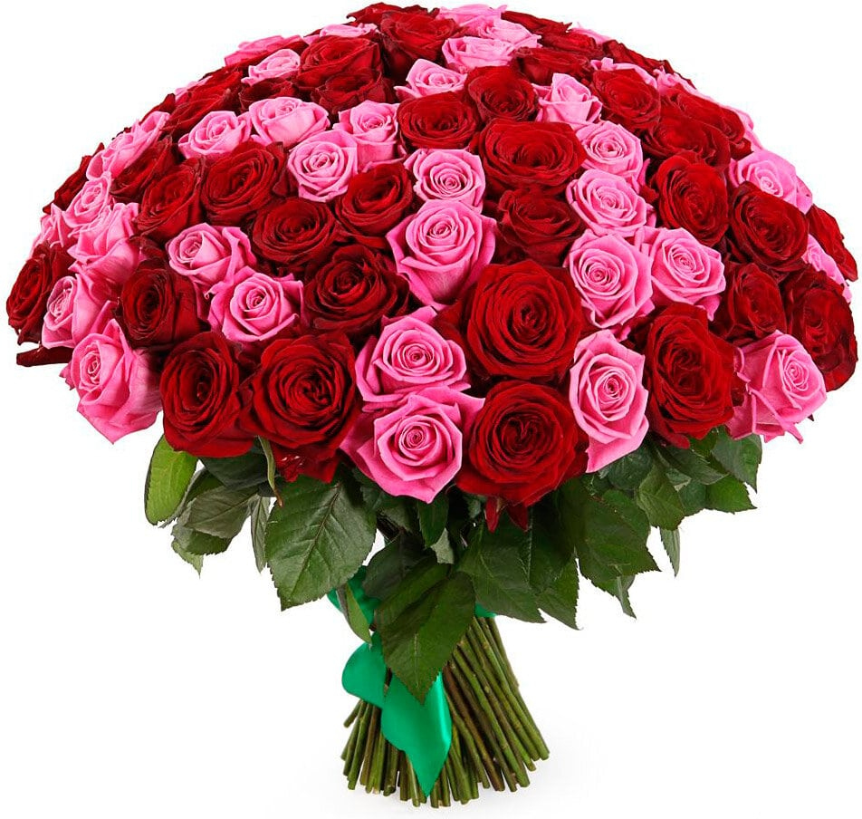 Розы Россия микс № 2 Розы Россия микс № 2